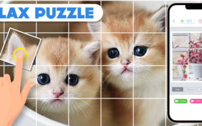 ROTATE JIGSAW PUZZLE – SO CUTE CAT